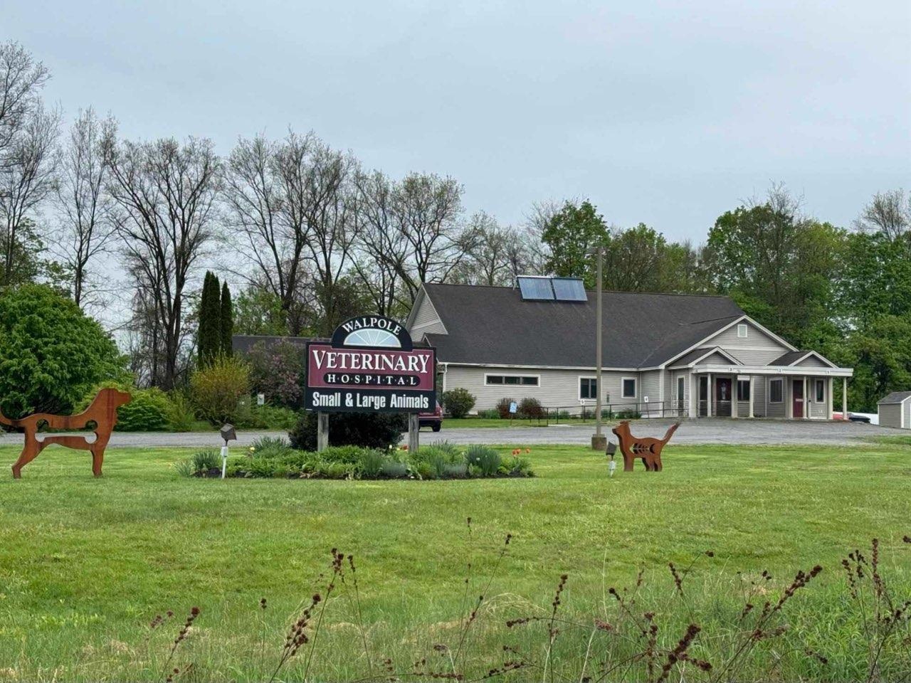 Walpole Veterinary Hospital photo