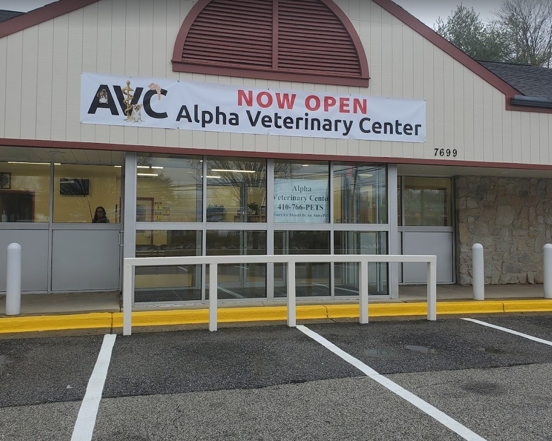 Alpha Veterinary Center photo