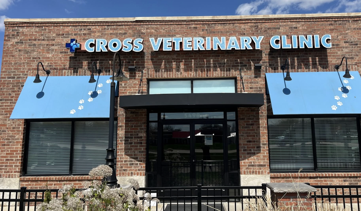 Cross Veterinary Clinic photo