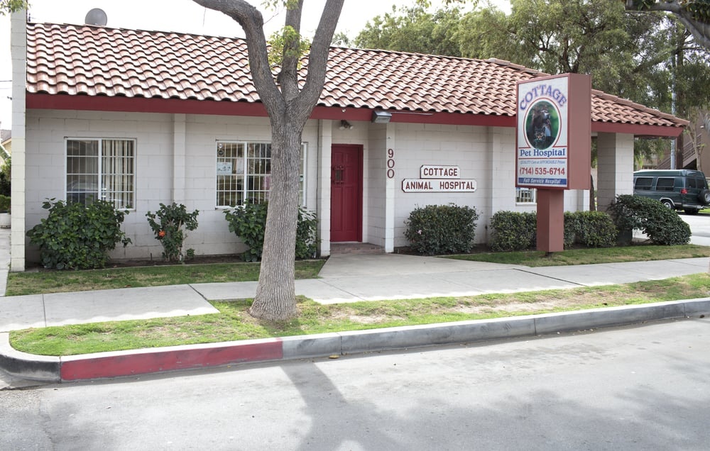 Cottage Pet Hospital photo