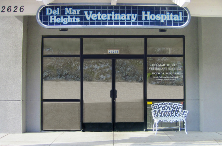Del Mar Heights Veterinary Hospital photo