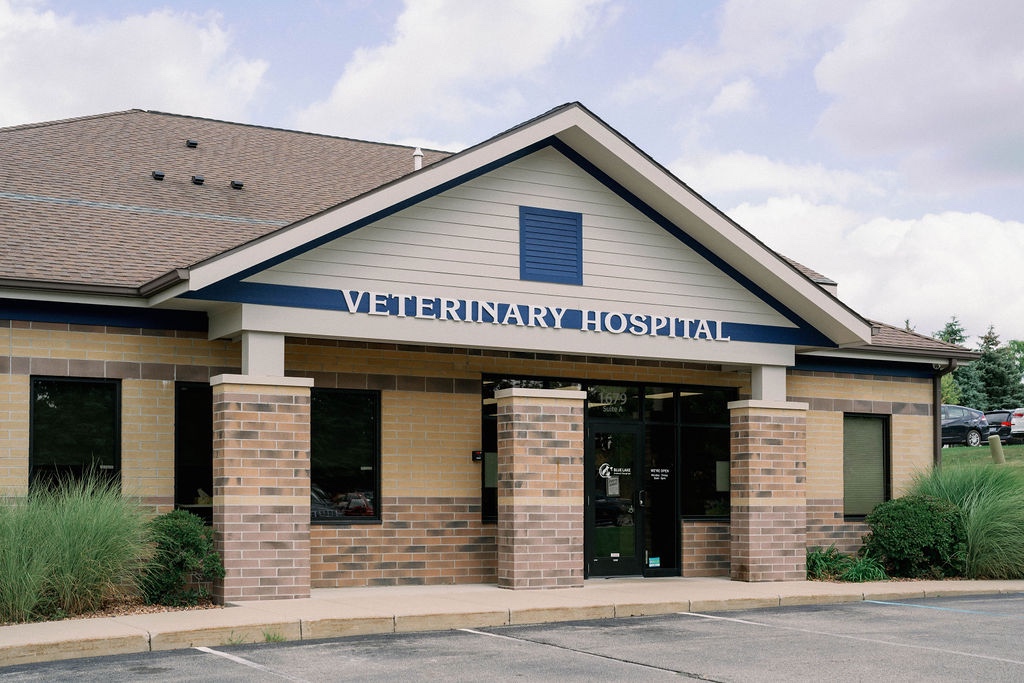 Blue Lake Animal Hospital photo