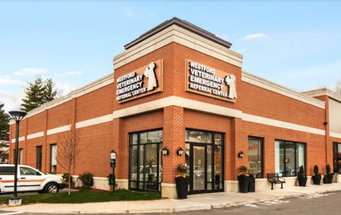 Westford Veterinary Emergency & Referral Center photo