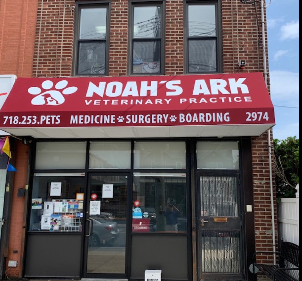 Noah's Ark Veterinary Practice photo