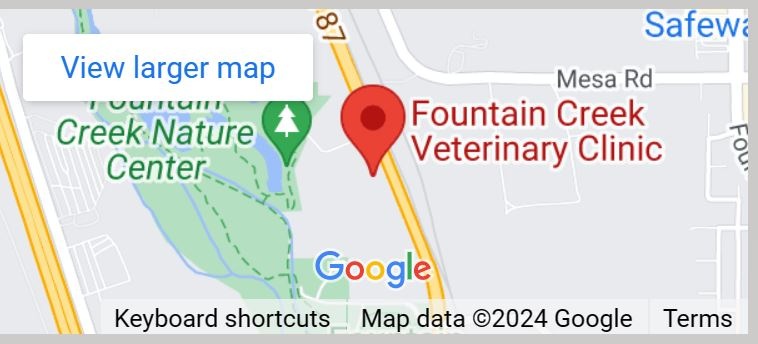 Fountain Creek Veterinary Clinic photo