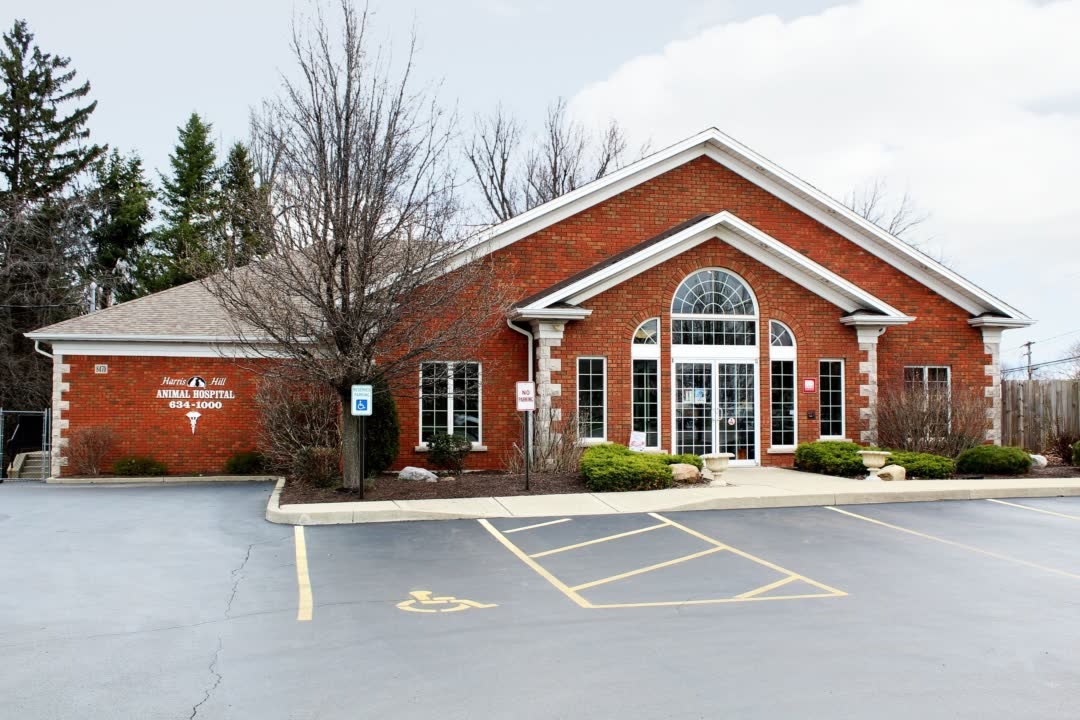 Harris Hill Animal Hospital photo
