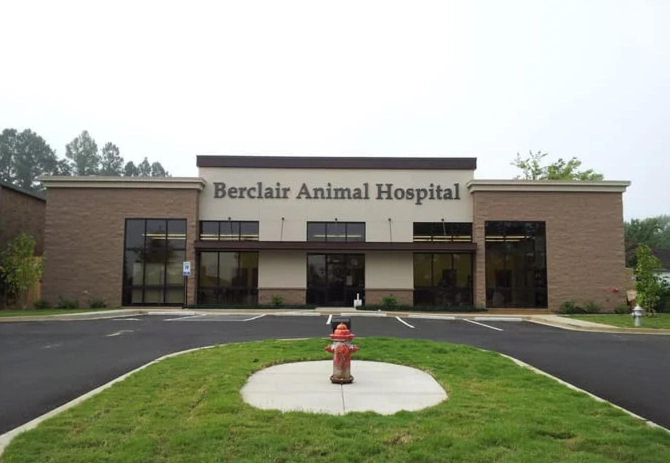 Berclair Animal Hospital photo