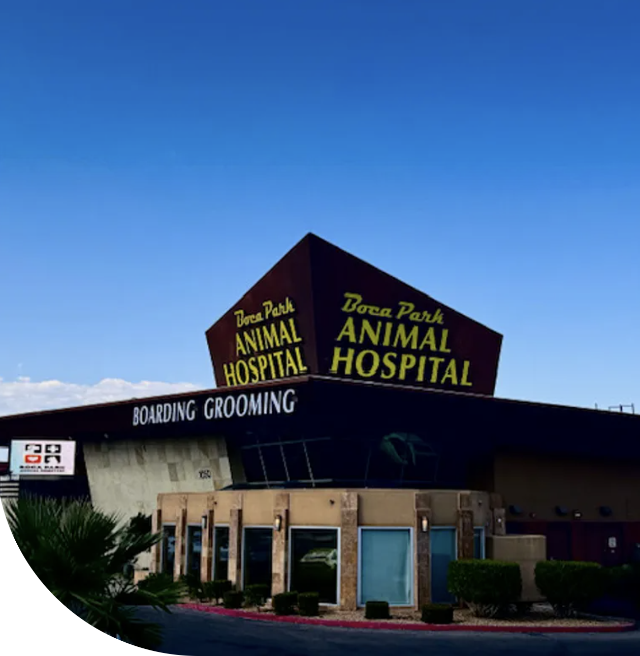 Boca Park Animal Hospital photo