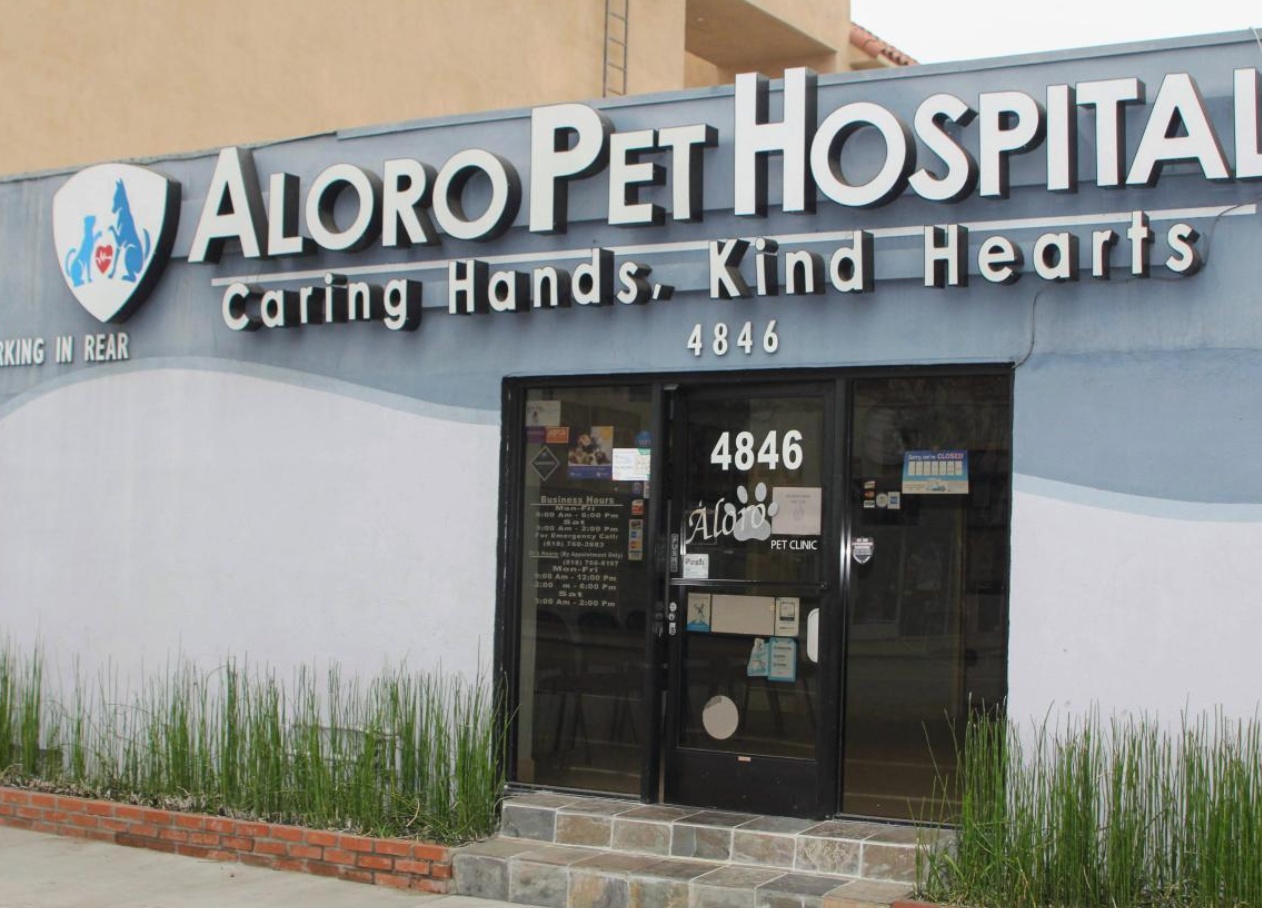 Aloro Pet Hospital photo
