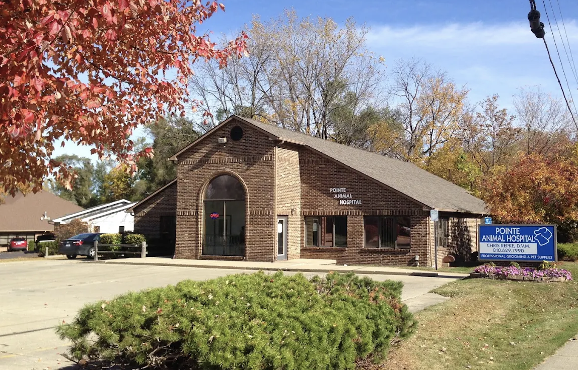 Pointe Animal Hospital photo
