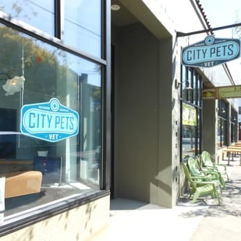 City Pets Vet photo