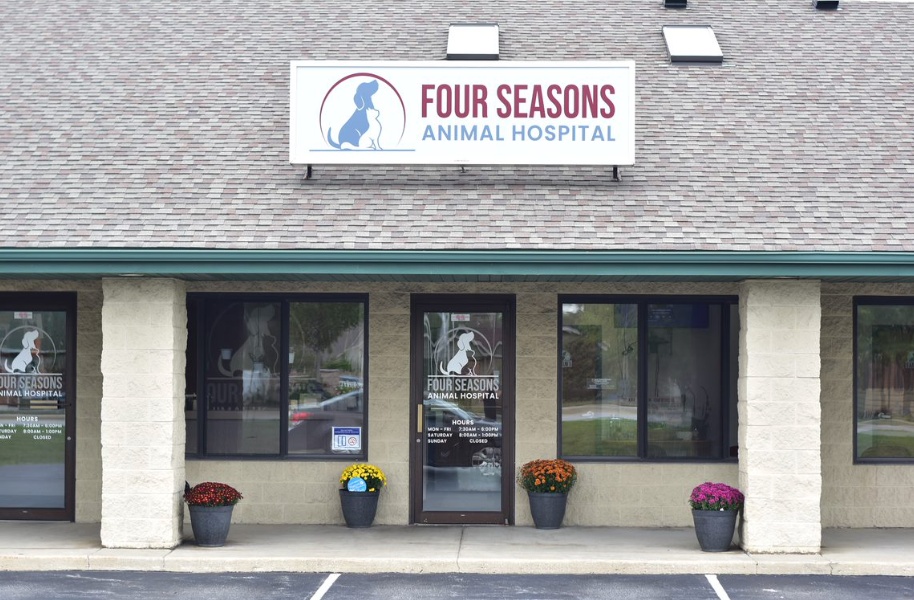 Four Seasons Animal Hospital photo