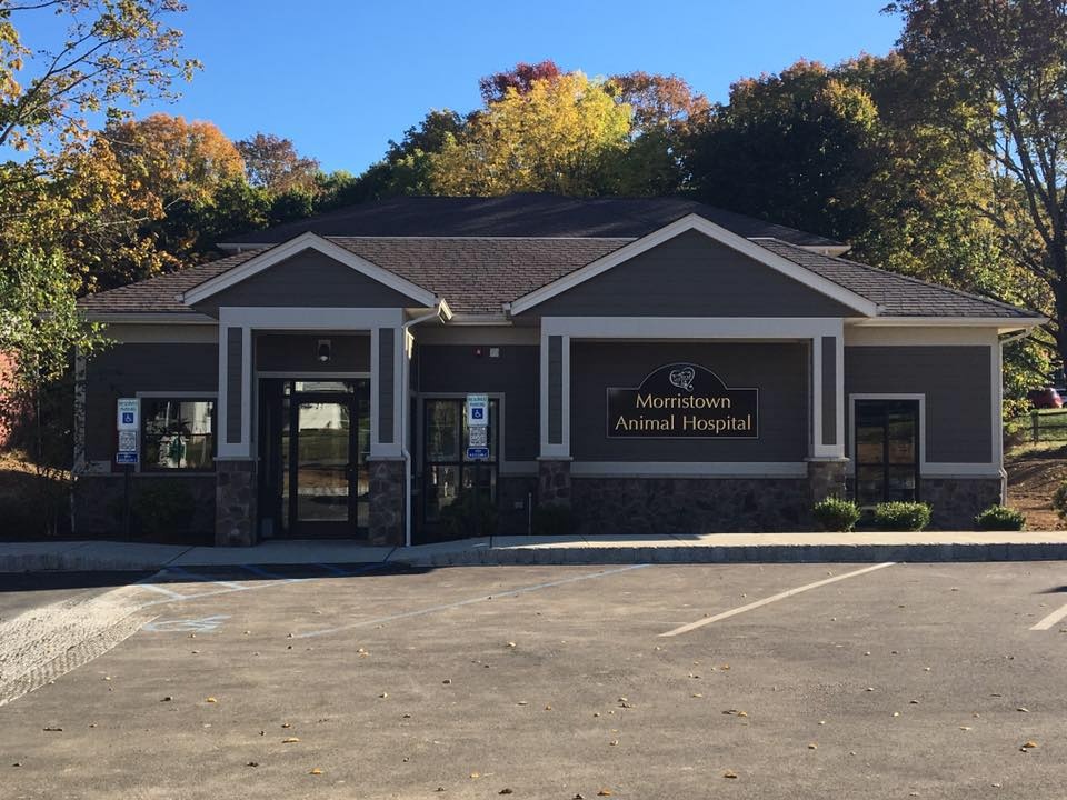Morristown Animal Hospital photo
