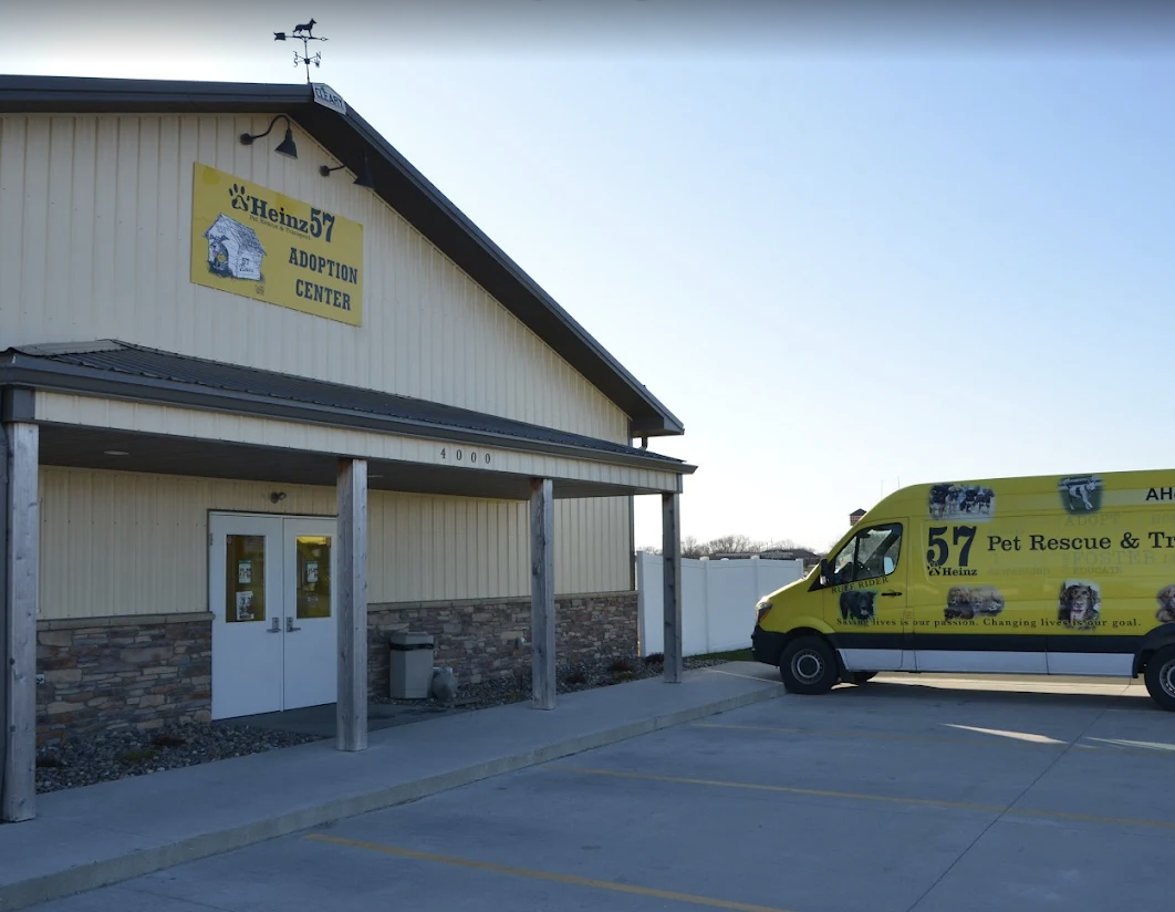AHeinz57 Pet Rescue & Transport photo