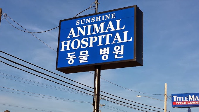 Sunshine Animal Hospital  photo
