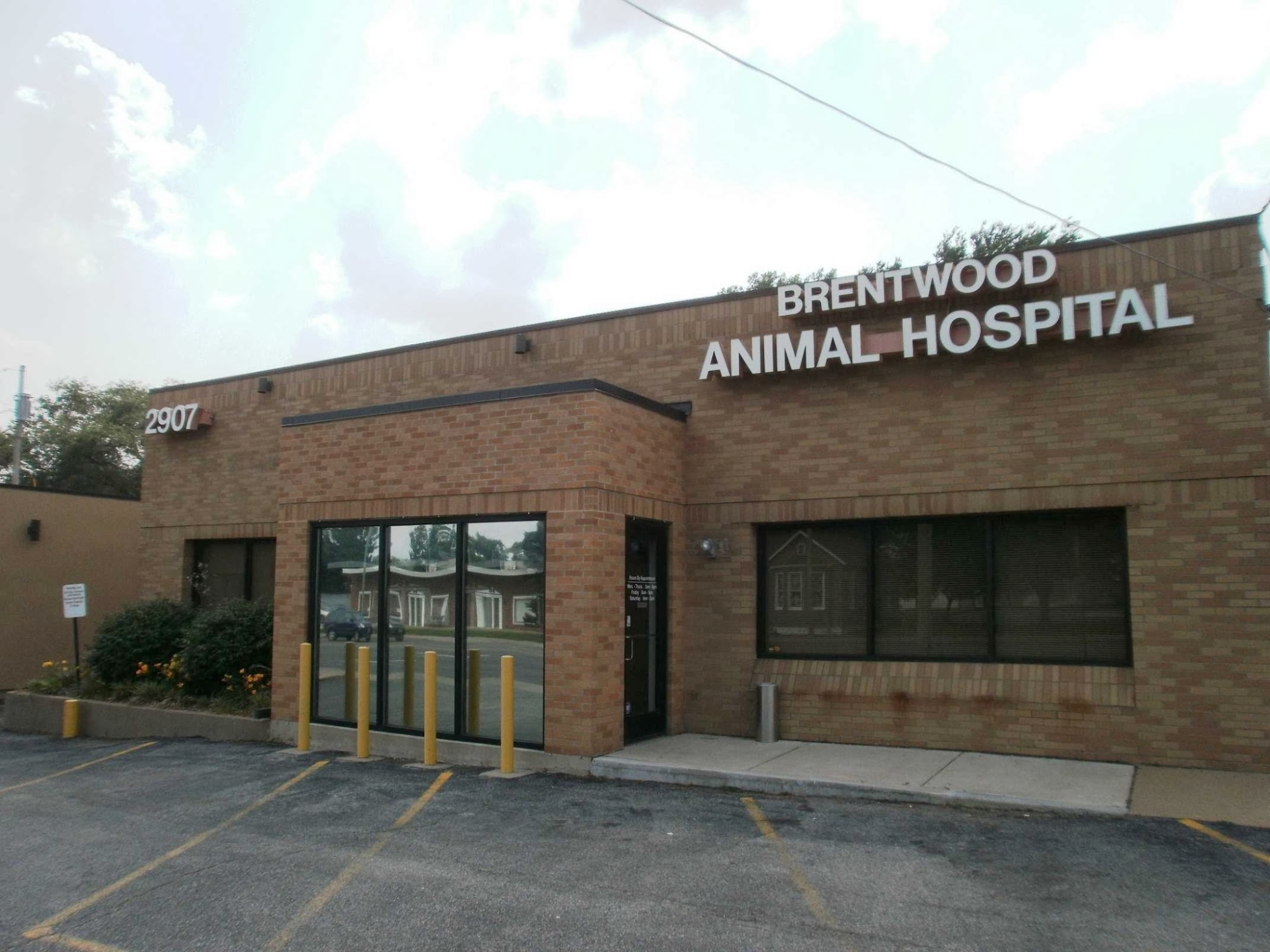Brentwood Animal Hospital photo
