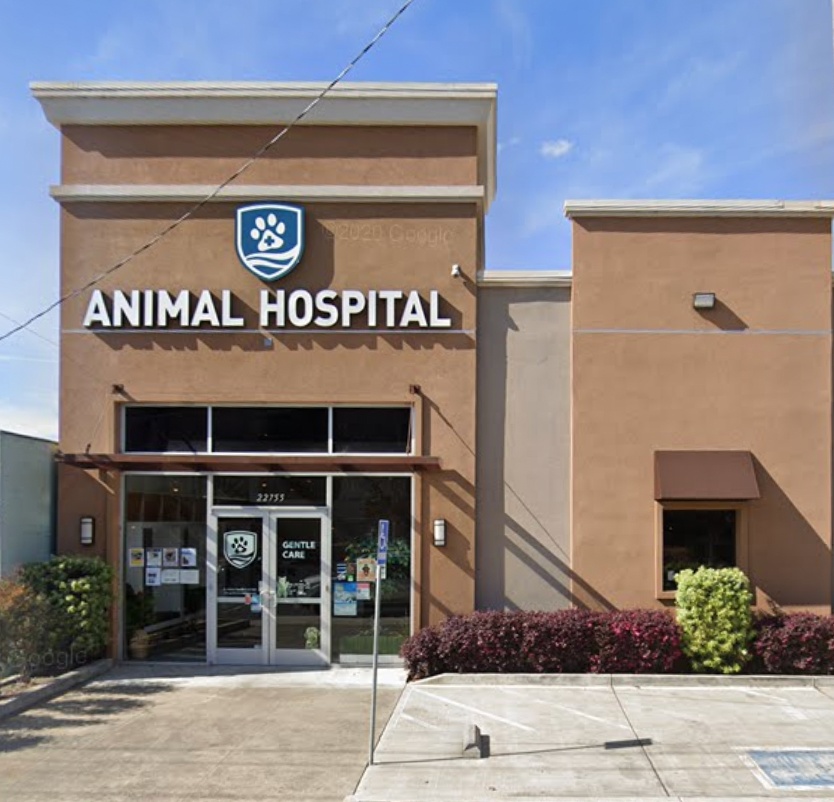 Gentle Care Veterinary Hospital photo