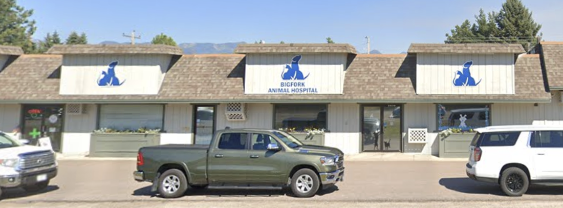 Bigfork Animal Hospital photo