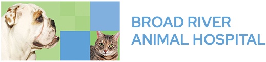 Broad River Animal Hospital photo