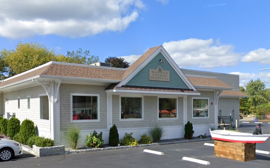 Harbor Animal Hospital photo