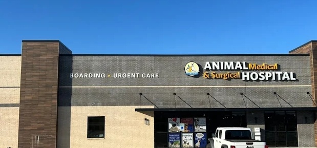 Animal Medical & Surgical Hospital photo