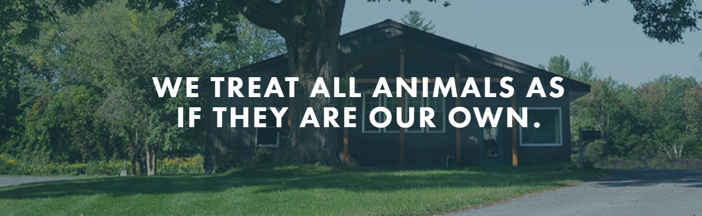 Bilmar Veterinary Services photo