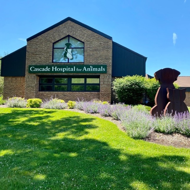 Cascade Hospital for Animals photo