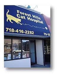 Forest Hills Cat Hospital photo