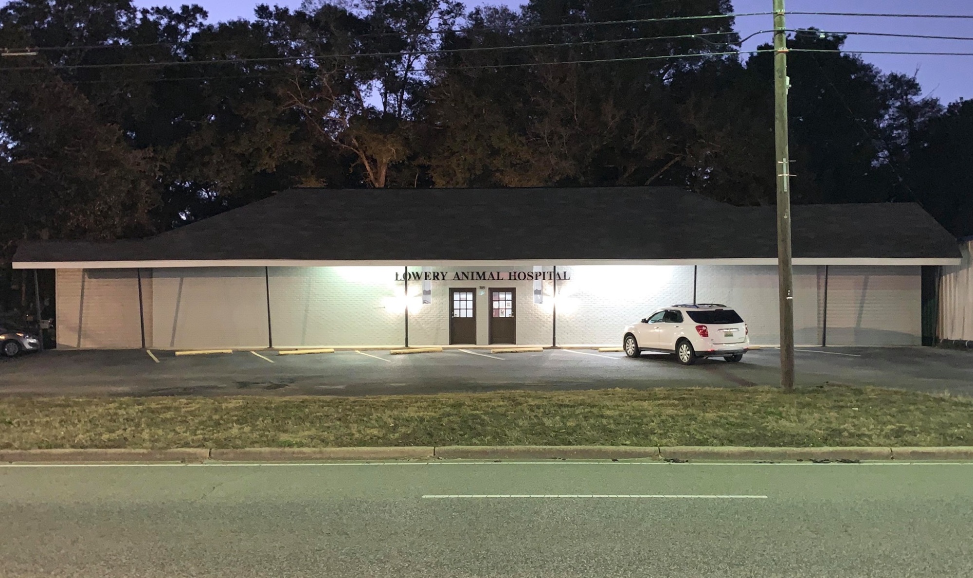 Lowery Animal Hospital photo