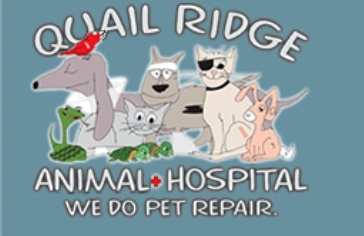 Quail Ridge Animal Hospital photo