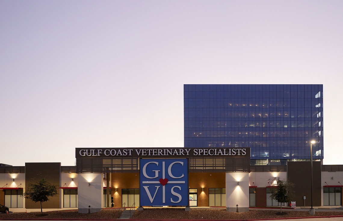 Gulf Coast Veterinary Specialists (GCVS) - Houston photo