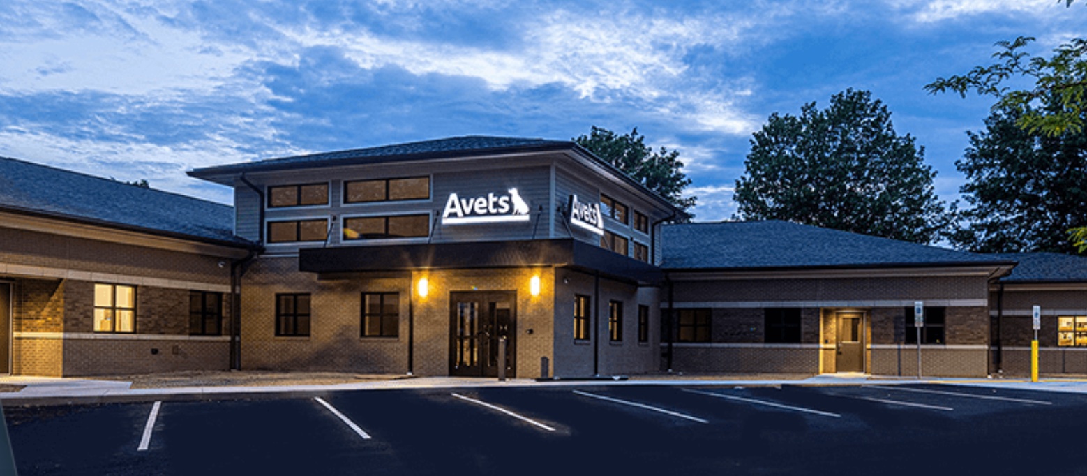 Avets photo