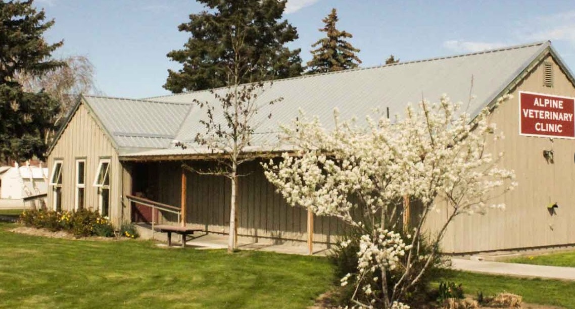 Alpine Veterinary Clinic photo