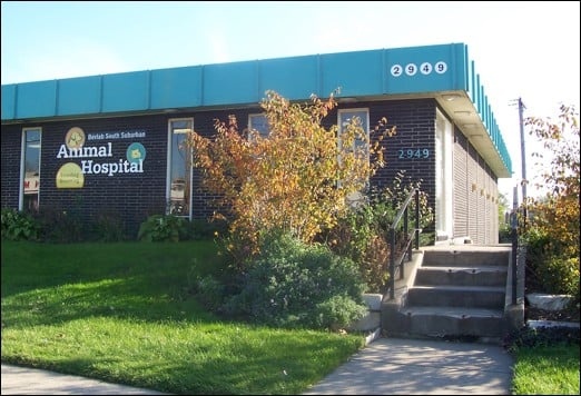 Bevlab Animal Hospital photo