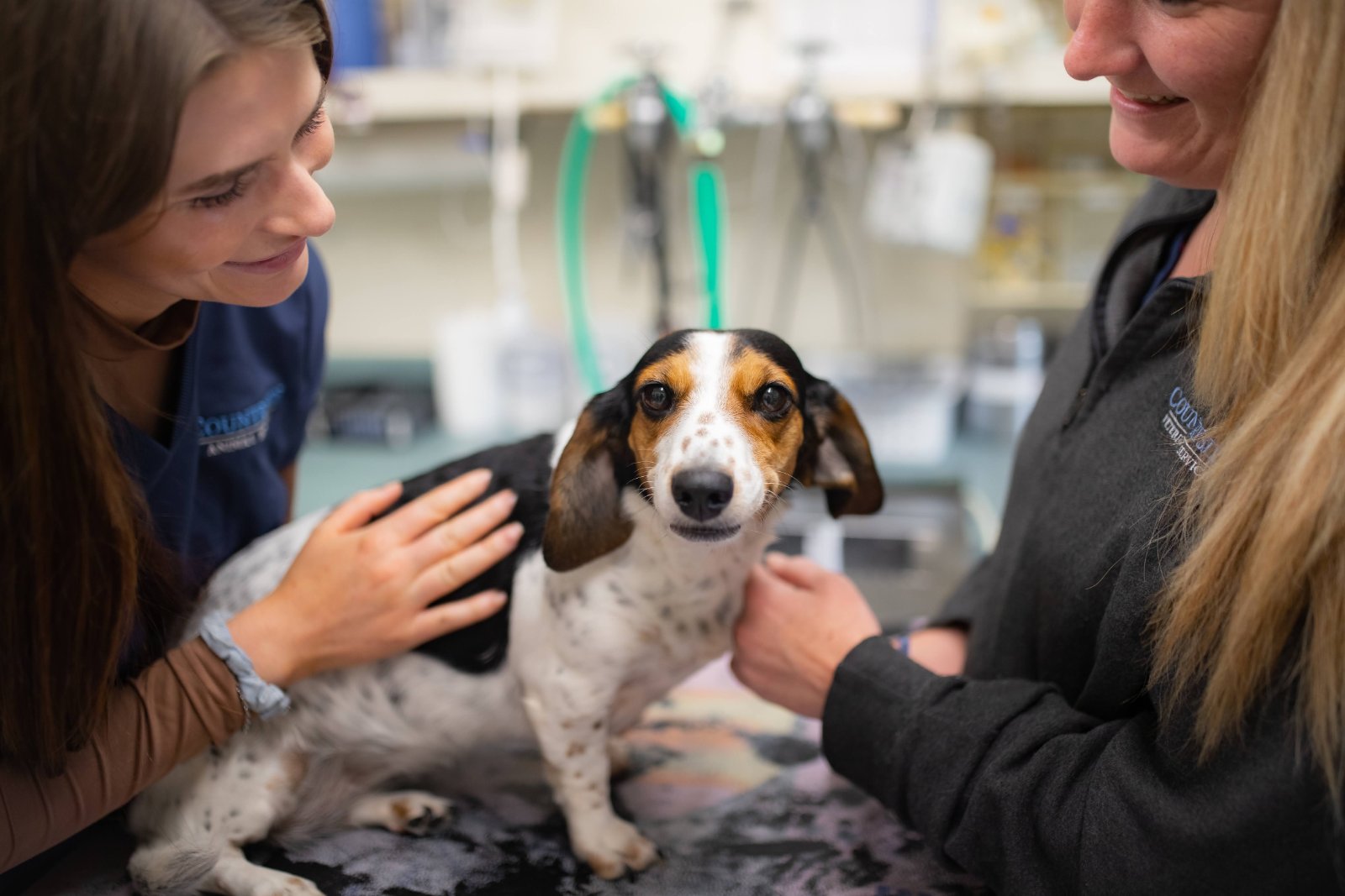 Countryside Animal Hospital photo