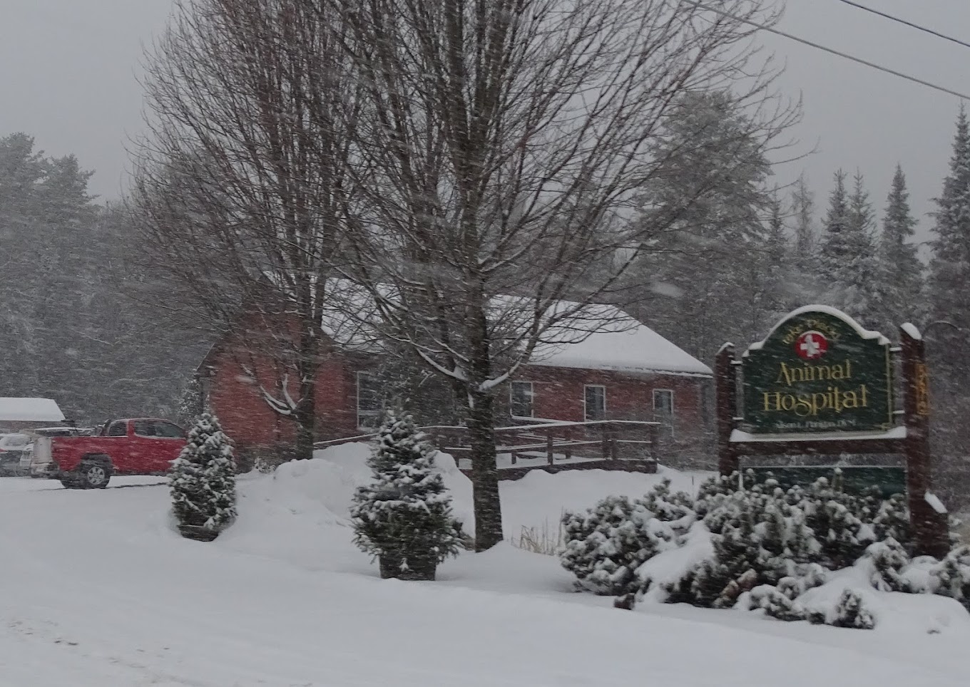 Lake Placid Animal Hospital photo