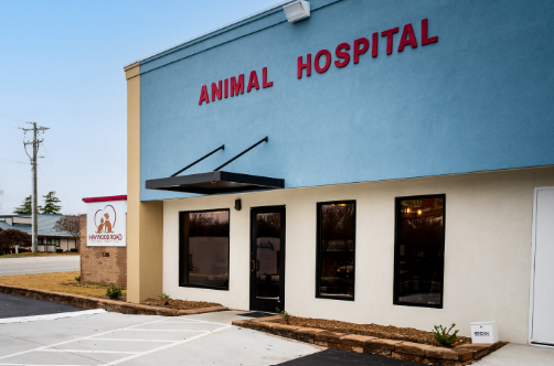 Haywood Road Animal Hospital photo