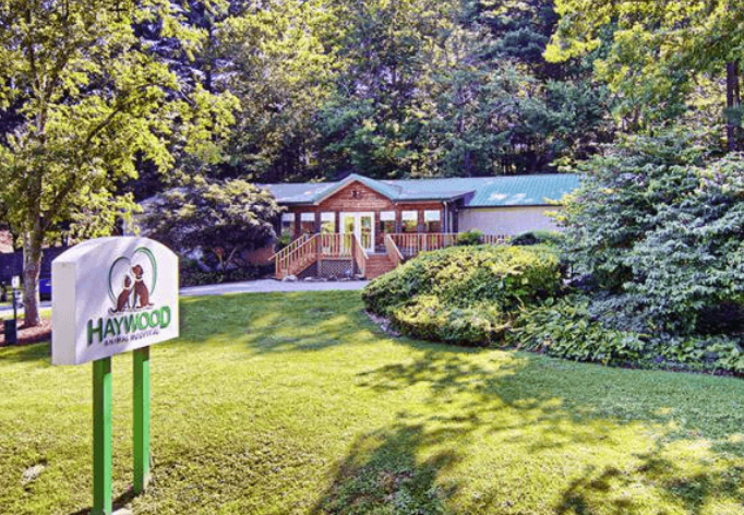Haywood Animal Hospital photo