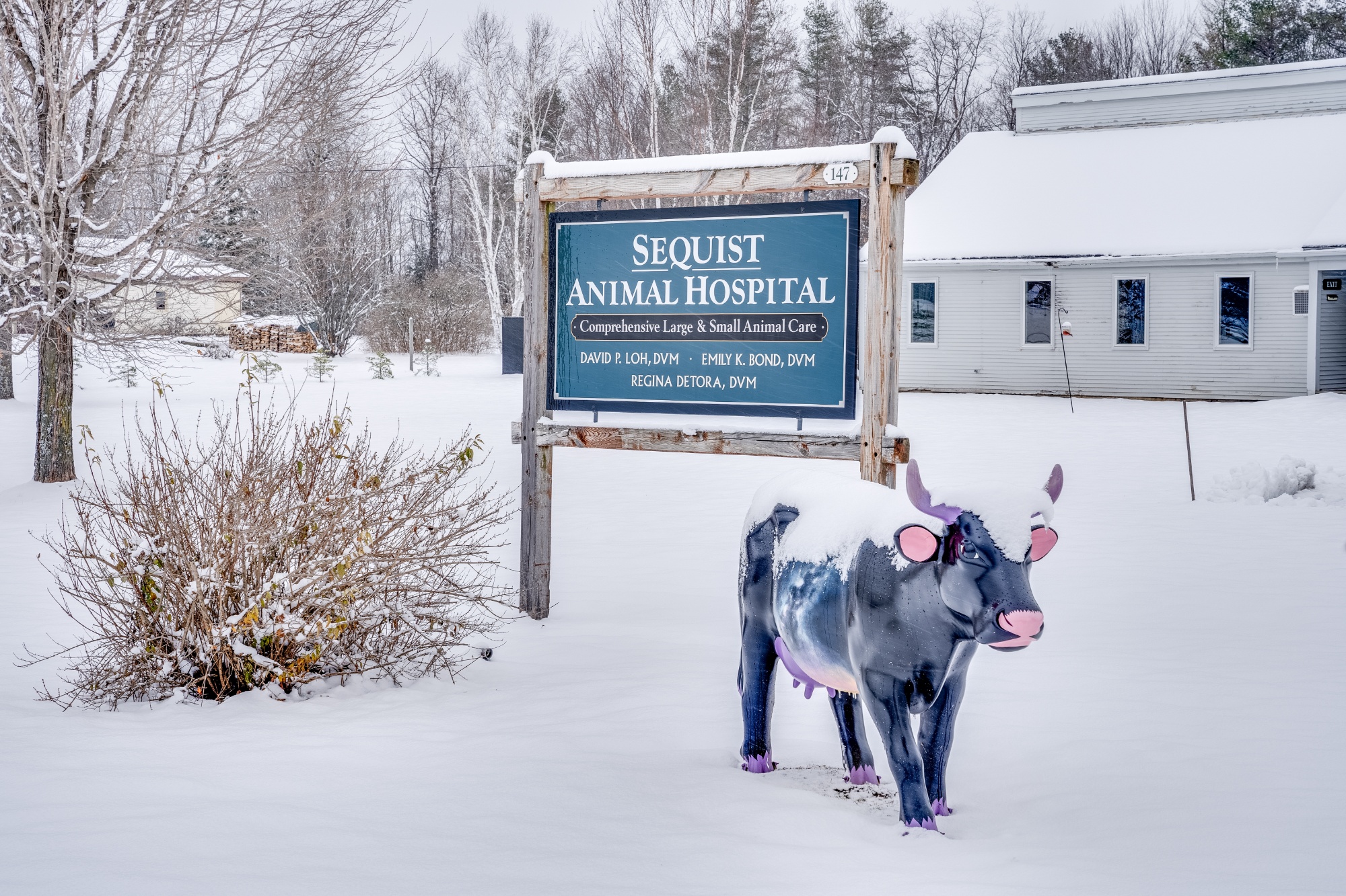 Sequist Animal Hospital photo