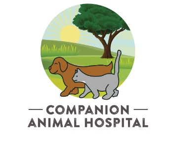 Companion Animal Hospital photo