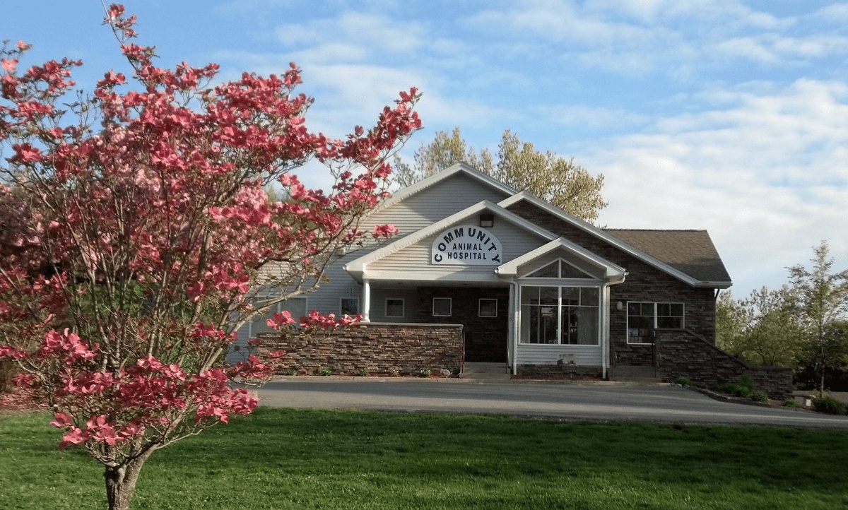Community Animal Hospital photo