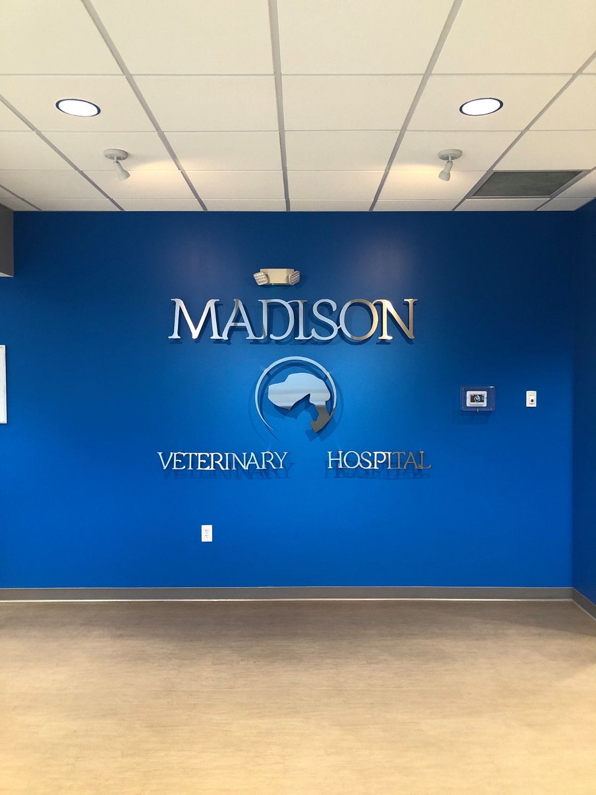 Madison Veterinary Hospital photo