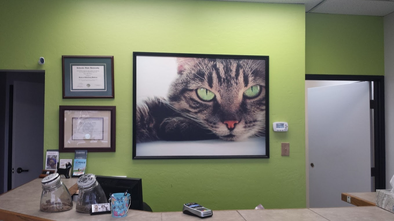 North Ranch Animal Hospital photo