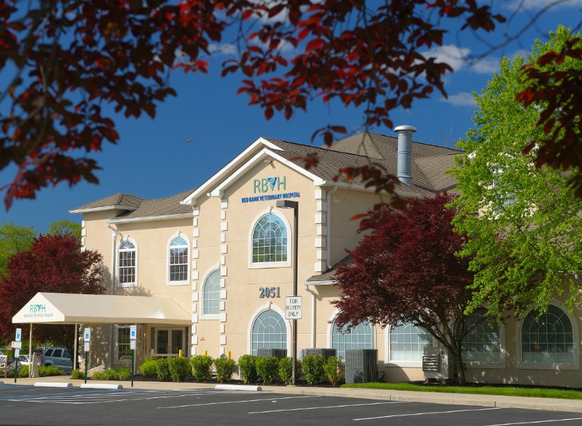 Mount Laurel photo