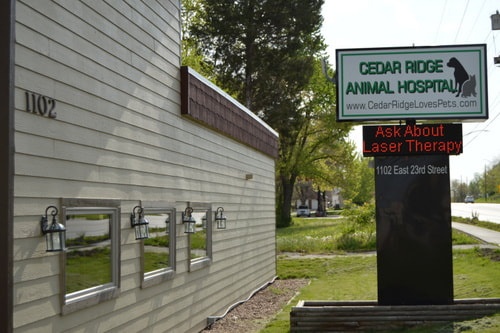 Cedar Ridge Animal Hospital photo