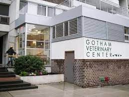 Gotham Veterinary Center photo