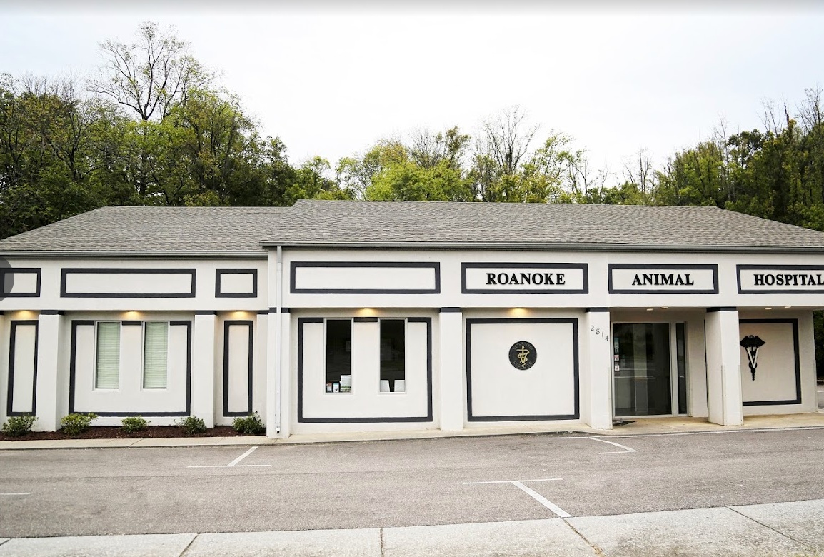 Roanoke Animal Hospital photo