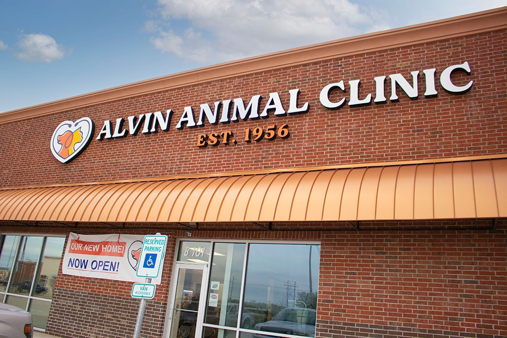 Alvin Animal Clinic photo