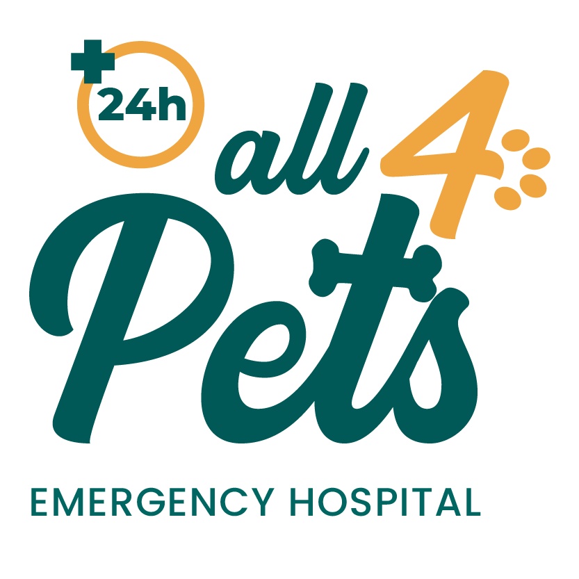 All 4 Pets | Ocoee- FL photo