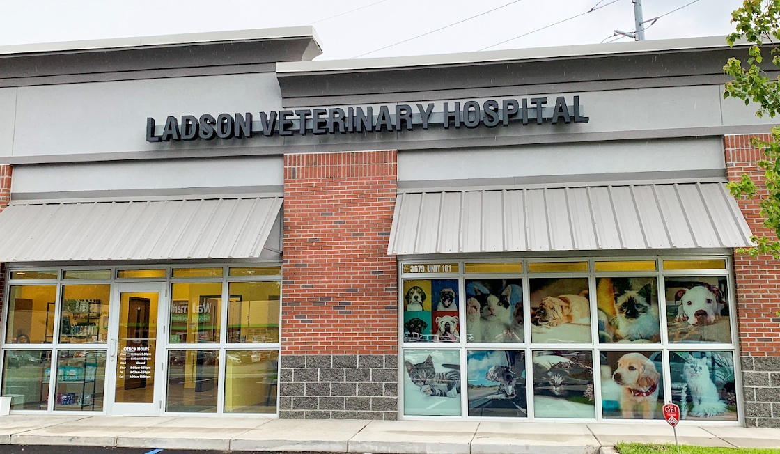 Ladson Veterinary Hospital photo